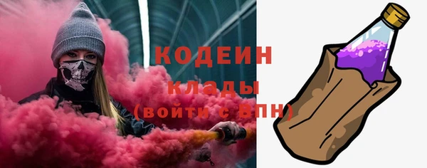 прущие грибы Аркадак