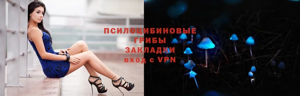 прущие грибы Аркадак