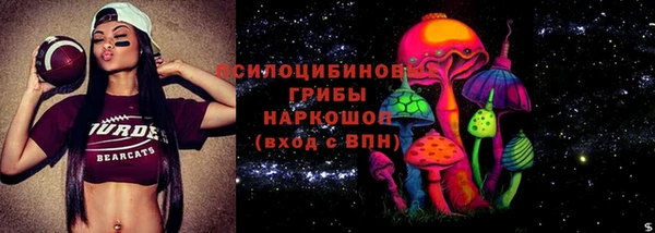 меф Арсеньев