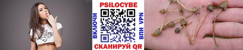 Псилоцибиновые грибы MAGIC MUSHROOMS  Петропавловск-Камчатский 