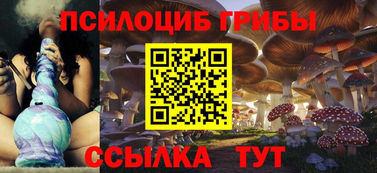 Галлюциногенные грибы прущие грибы Петропавловск-Камчатский