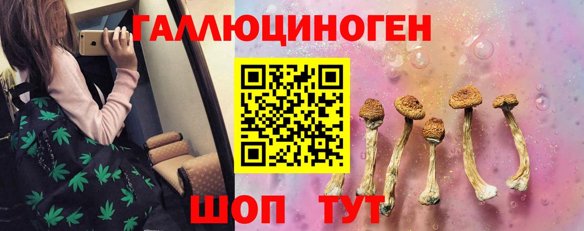 Галлюциногенные грибы Psilocybine cubensis  Вход с VPN  Петропавловск-Камчатский 